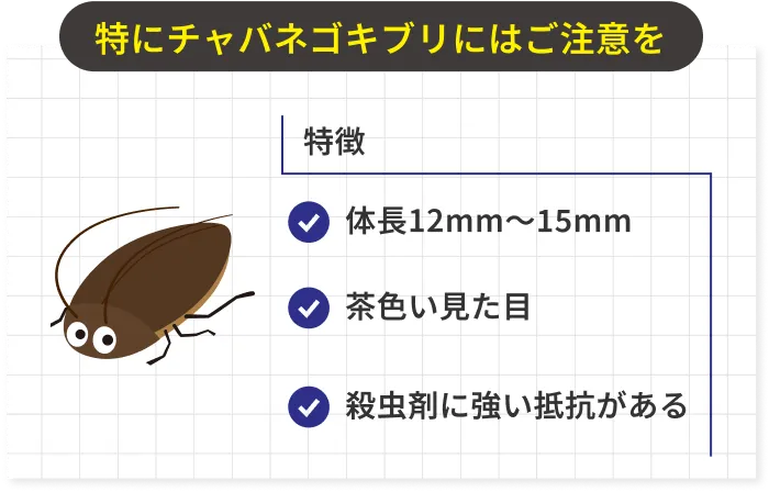 特にチャバネゴキブリにはご注意を、特徴、体長12mm〜15mm、茶色い見た目、殺虫剤に強い抵抗がある
