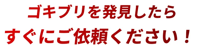 ゴキブリを発見したらすぐにご依頼ください!